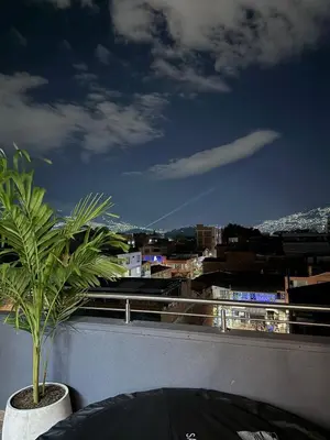 a plant on a balcony with a view of a city at 201New apartment perfect location Close to poblado in Medellín
