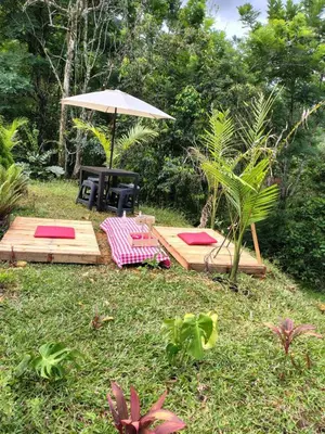 a picnic table and an umbrella in the grass at Glamping Verde Melcocho in San Francisco