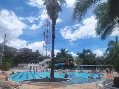 a swimming pool with a palm tree in the middle at Apartasol Familiar 2 in Santa Fe de Antioquia