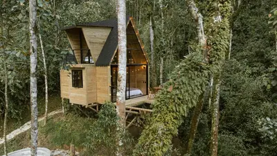 a tree house in the middle of the forest at Onirico Refugio in Medellín