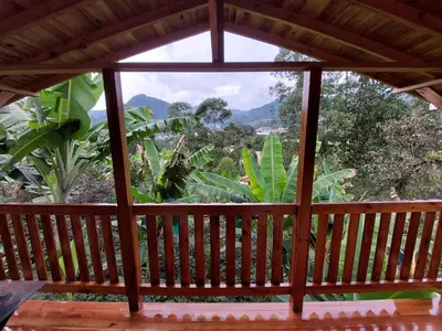 a view from the inside of a screened in porch with a window at Cabaña octaluz in Jardin