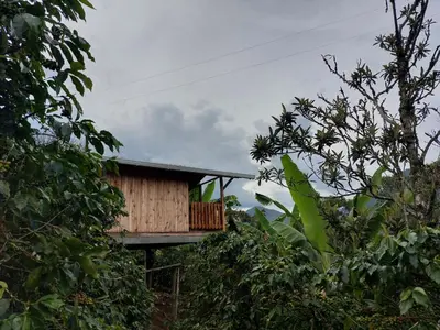 a tree house with a balcony in the trees at Cabaña octaluz in Jardin