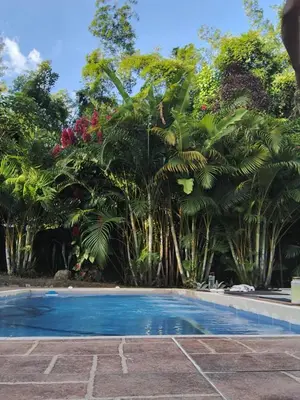 a swimming pool with palm trees in the background at Cabaña G203 in Girardota