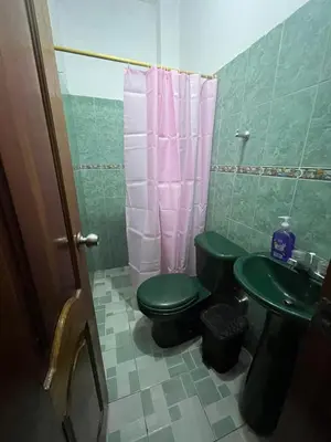 a bathroom with a green toilet and a sink at Apartamento Amoblado en Doradal in Las Mercedes