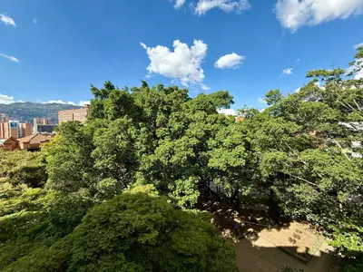 a large tree with green leaves in front of a city at Aparta hotel Montes in Medellín