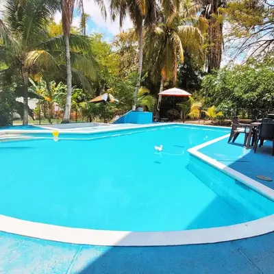 a pool with blue water and palm trees at Beautiful duplex in Honda