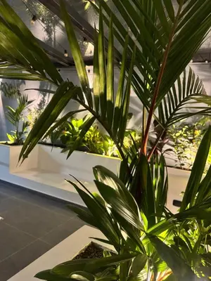 a green plant in a room with other plants at Stadium Home Shelter in Medellín
