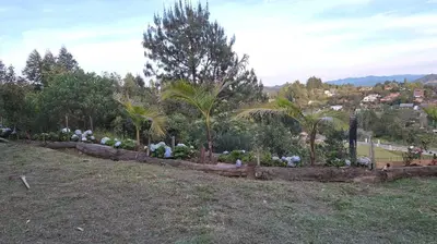 a garden with plants and palm trees on a hill at Chalet las palmas Poblado in Medellín