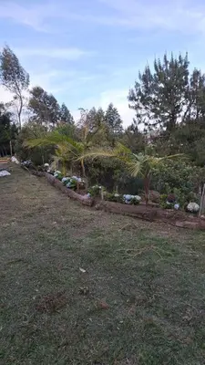 a garden with palm trees and plants in a field at Chalet las palmas Poblado in Medellín