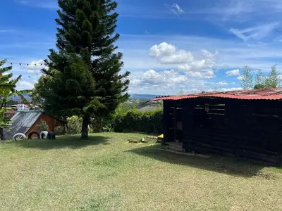 a house with a tree next to a building at Encanto Verde cabaña sencilla in Marinilla