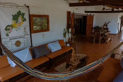 Gallery image of Hotel Cacaobetulia in Maceo