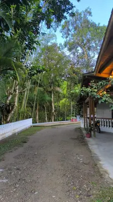 an empty road in front of a building with trees at Hostal Servus Pizzeria café in San Carlos