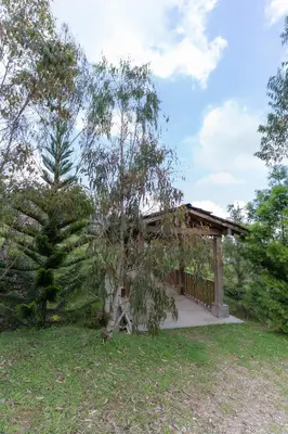 a house with a tree in front of it at Cinco Elementos in El Peñol