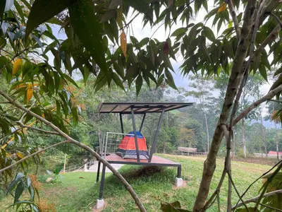 a swing set in a field with a tree at Camping bajo techo y con estilo in San Rafael