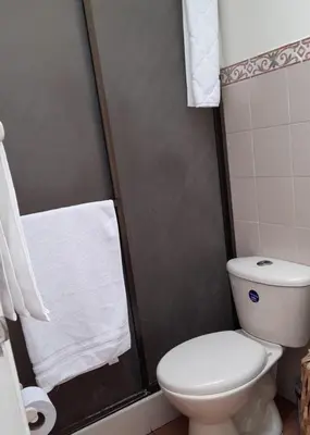 a bathroom with a toilet and a shower with towels at Modern, Comfortable, Spacious & Central in Manizales