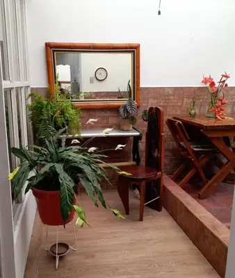 a mirror and a potted plant in a room at Modern, Comfortable, Spacious & Central in Manizales