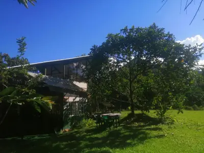 a house with a tree in front of it at Glasshouse with river in San Rafael