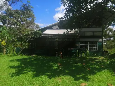 a barn with a dog standing in front of it at Cabin with River in San Rafael