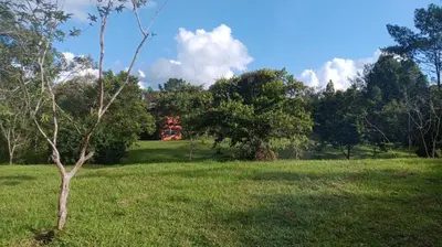 a tree in the middle of a grass field at Cabin with River in San Rafael