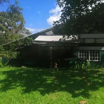 Cabin with River