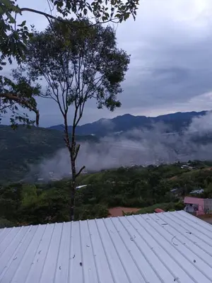 a view from the roof of a house with a tree at Altos del silencio in San Rafael
