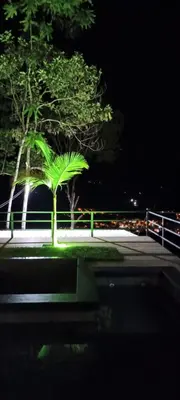 a green tree in the middle of a street at night at Altos del silencio in San Rafael