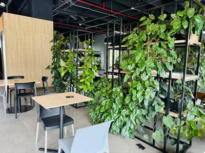 a green wall with tables and chairs and plants at Amazing apartment in Poblado in Medellín