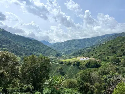 a view of a valley with trees and mountains at LA CASONA Finca Hostal in Apía