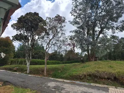 a road with trees on the side of a field at Habitación en Casa San Miguel, Vereda El Plan, Santa Elena in Medellín