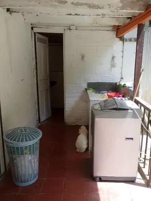 a cat sitting in a room with a refrigerator at Habitación en casa de campo via al aeropuerto in Copacabana