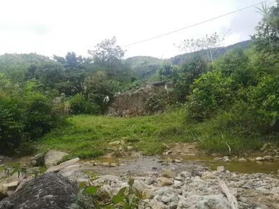 a stream in the middle of a grassy hill with trees at Ermita del tinte in San Rafael