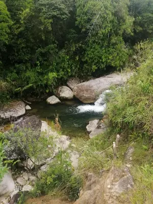 a stream of water with rocks and trees at Ermita del tinte in San Rafael
