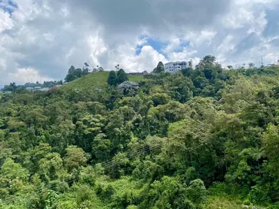 an overhead view of a hill with trees at Apto nuevo, tranquilo y central in Manizales