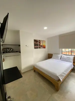 a bedroom with a bed and a tv in it at Hotel Olimpo La 47 in Rionegro