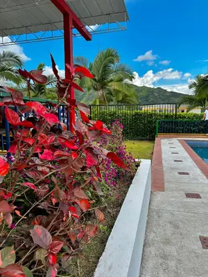 a garden with red flowers next to a swimming pool at Casa Campestre La Mesita in Palestina