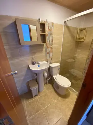 a bathroom with a toilet and a sink and a shower at Loge Cabaña peñol-Guatape in El Peñol