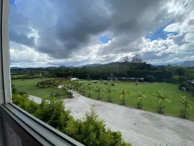 a view from a window of a park with palm trees at Suite de Lujo en Llano Grande - Piscina, jacuzzi, Turco, Gimnasio in Rionegro