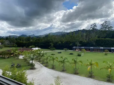 a view of a park with palm trees and a building at Suite de Lujo en Llano Grande - Piscina, jacuzzi, Turco, Gimnasio in Rionegro