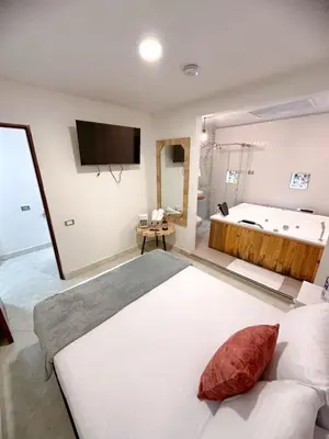 a bedroom with a large bed and a bath tub at Hostal Rose Moor in Jardin