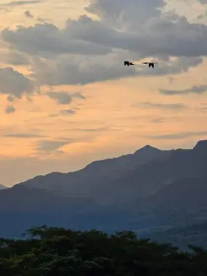 a plane flying in the sky over mountains at Casa finca Pool & Jacuzzi, Tropical Oasis in Jericó
