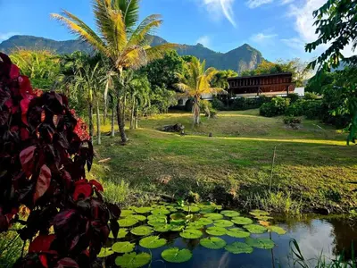 a pond with lily pads in front of a house at Casa finca Pool & Jacuzzi, Tropical Oasis in Jericó