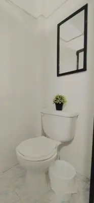 a white toilet in a bathroom with a potted plant at Laureles estadio plaza mayor la 70 unicentro in Medellín