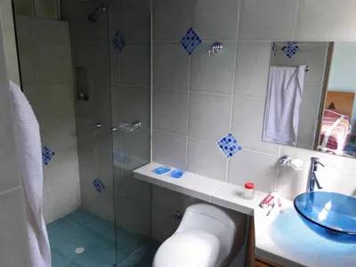 a bathroom with a shower and a toilet and a sink at Hotel Familiar El Remanso Del Agua in Guatapé