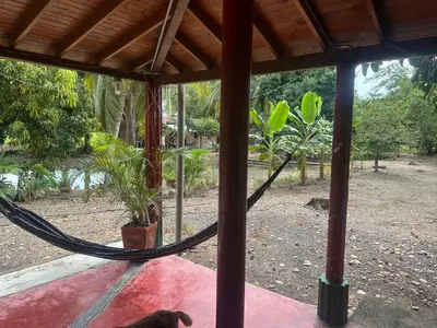 a cat sitting on a hammock in a porch at Finca Hotel Ganadera La Bonita in Cantimplora