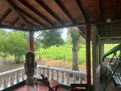 a balcony with a view of a tree at Finca Hotel Ganadera La Bonita in Cantimplora