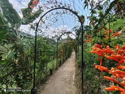 a pathway through a garden with red flowers at Hospedaje Campestre Providencia in Manizales