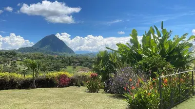 a garden with a mountain in the background at Casa colonial hermosa divisa a 1 45 h de Medellin in Venecia