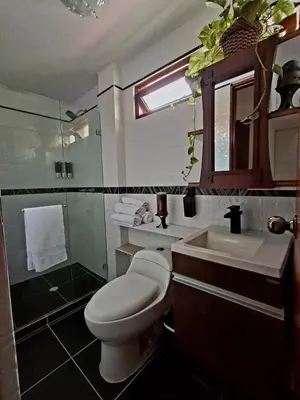 a bathroom with a toilet and a sink and a shower at Casa Tobi in Rionegro