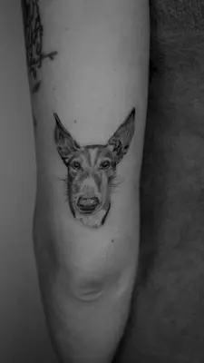 a dog head tattoo on the side of the arm at Kintin Tattoo Hostel in Jardin