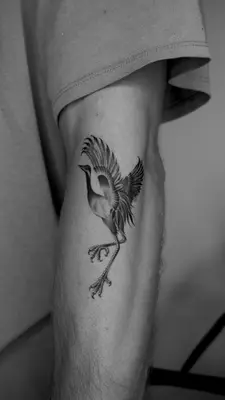 a bird tattoo on the side of the leg at Kintin Tattoo Hostel in Jardin